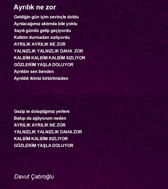 Davut Çatıroğlu