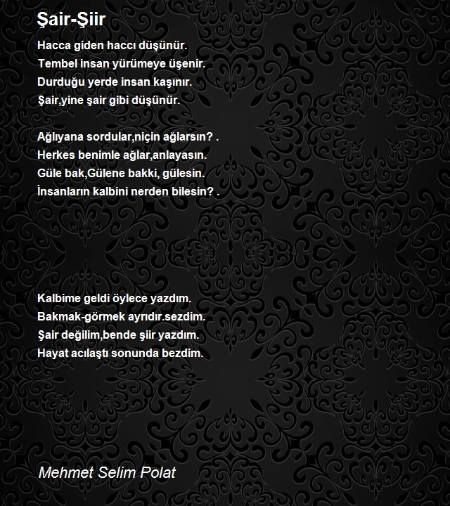 Mehmet Selim Polat