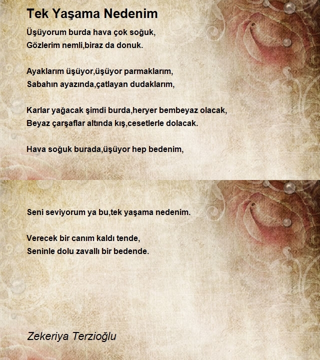 Zekeriya Terzioğlu