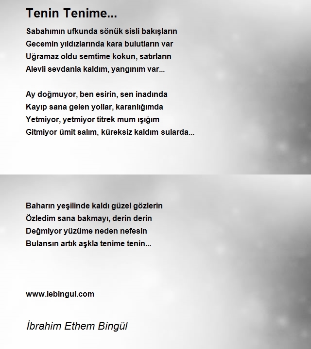 İbrahim Ethem Bingül