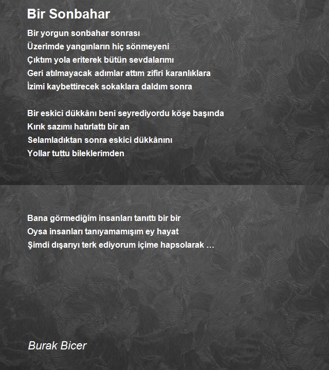 Burak Bicer