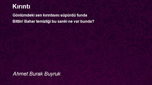 Ahmet Burak Buyruk