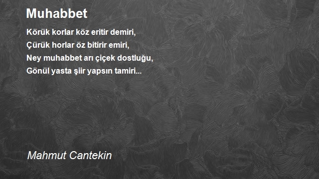 Mahmut Cantekin