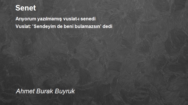 Ahmet Burak Buyruk