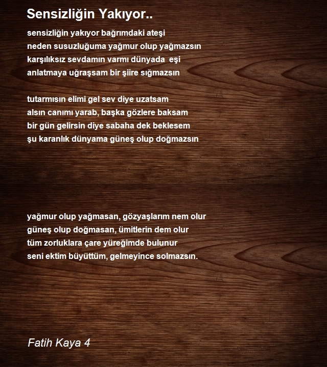 Fatih Kaya 4