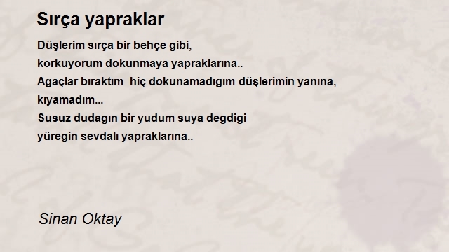 Sinan Oktay