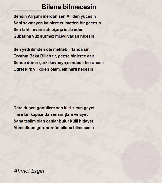 Ahmet Ergin