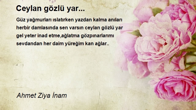 Ahmet Ziya İnam