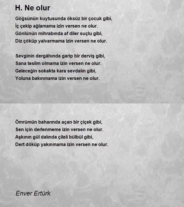 Enver Ertürk