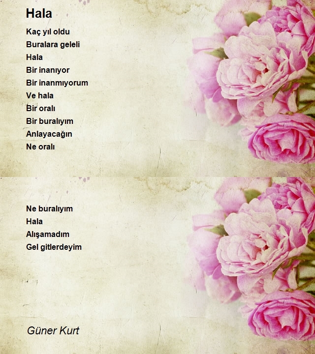 Güner Kurt