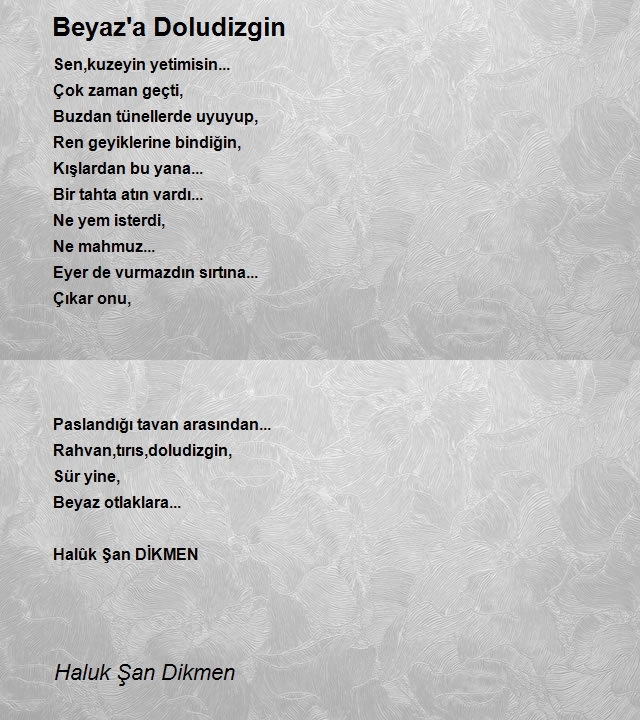 Haluk Şan Dikmen