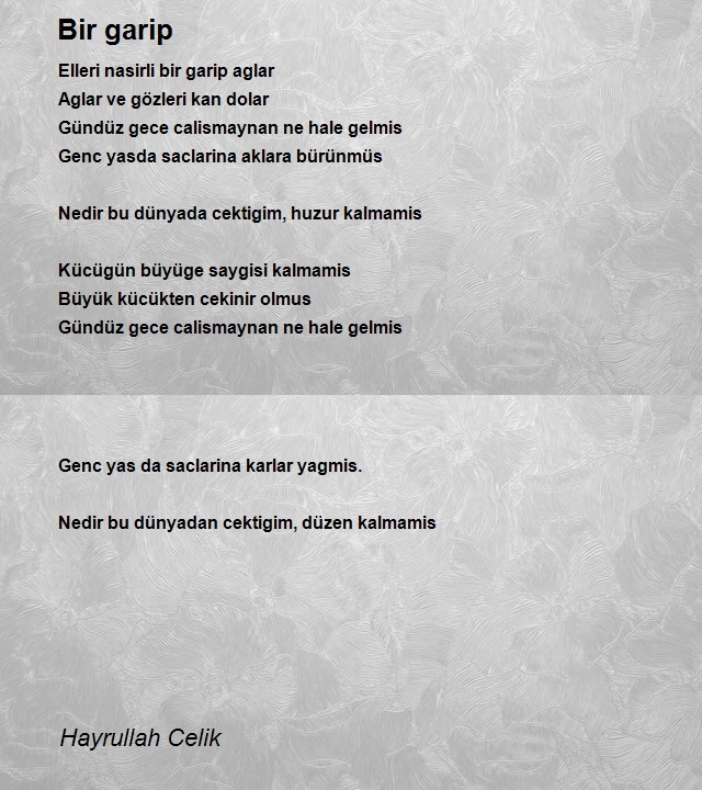 Hayrullah Celik