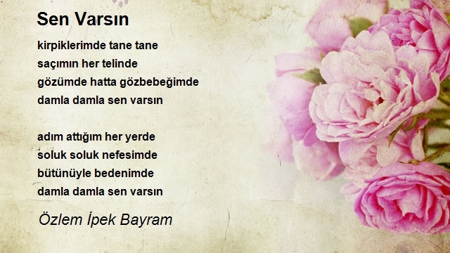 Özlem İpek Bayram