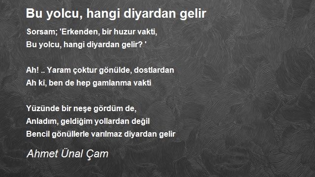 Ahmet Ünal Çam