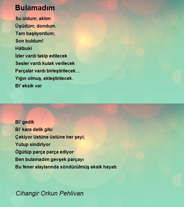 Cihangir Orkun Pehlivan