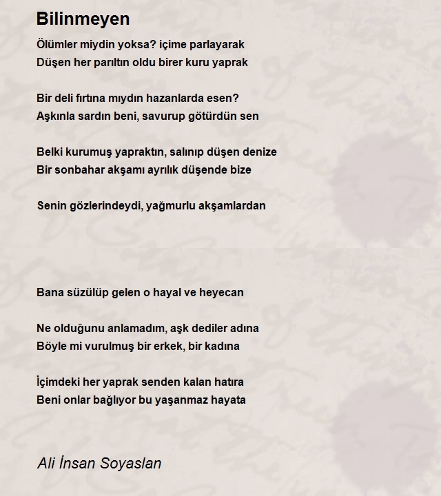 Ali İnsan Soyaslan