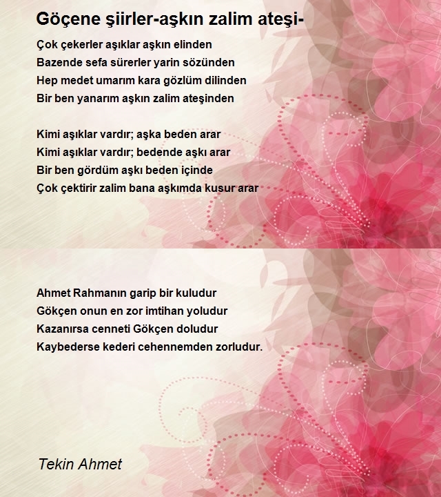 Tekin Ahmet