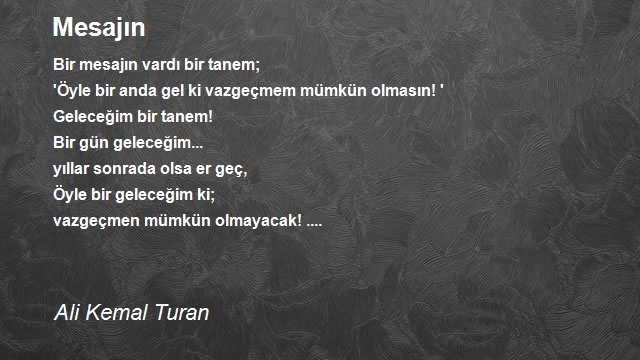 Ali Kemal Turan