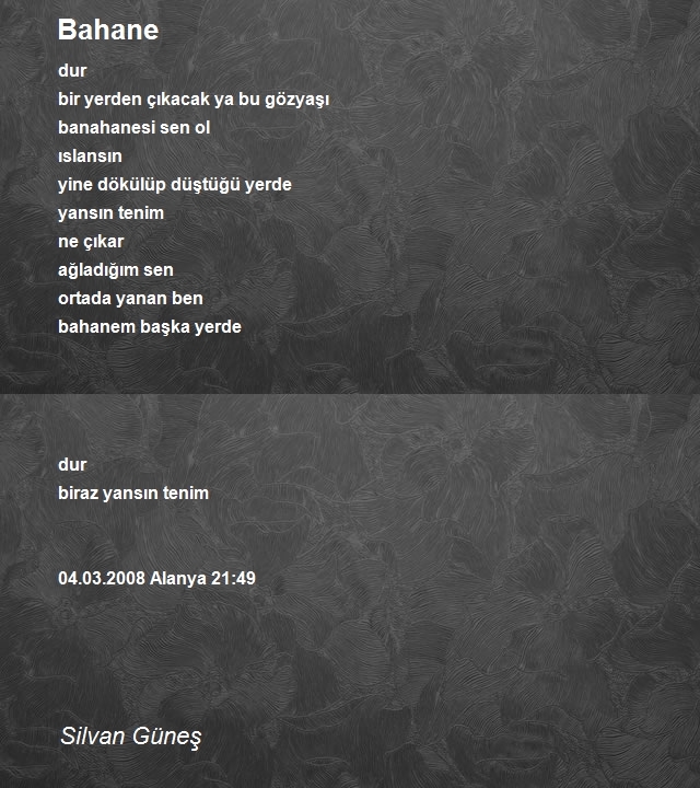 Silvan Güneş