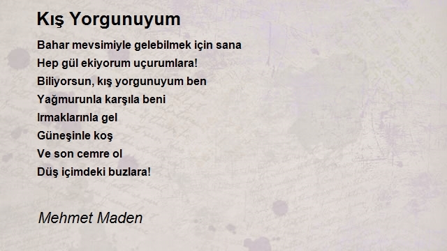 Mehmet Maden