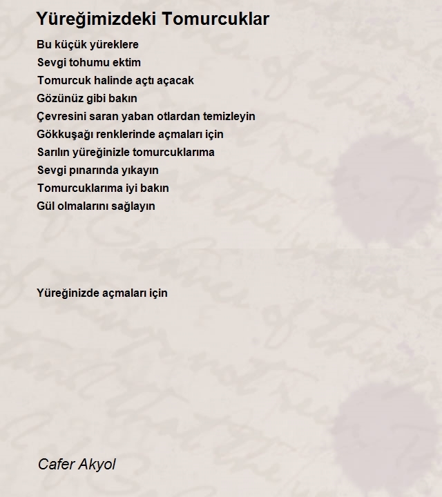 Cafer Akyol