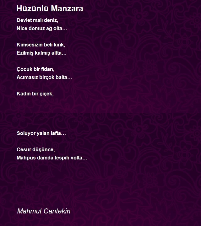 Mahmut Cantekin