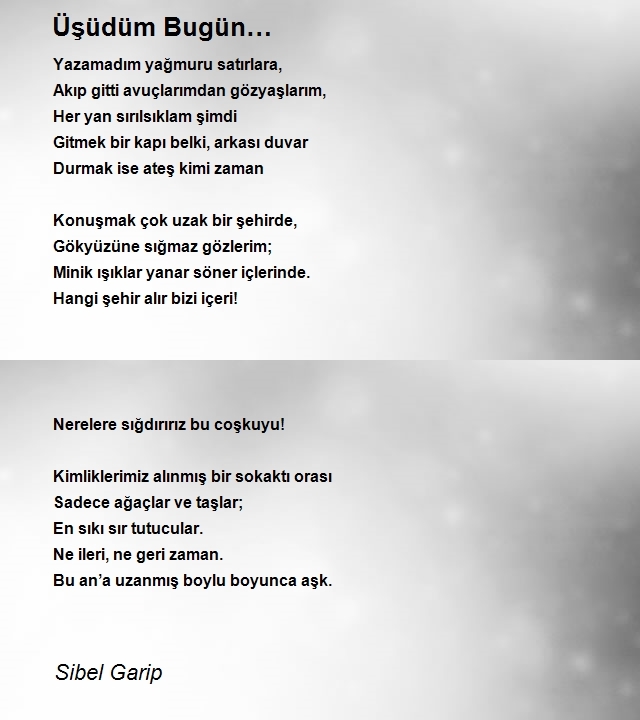 Sibel Garip