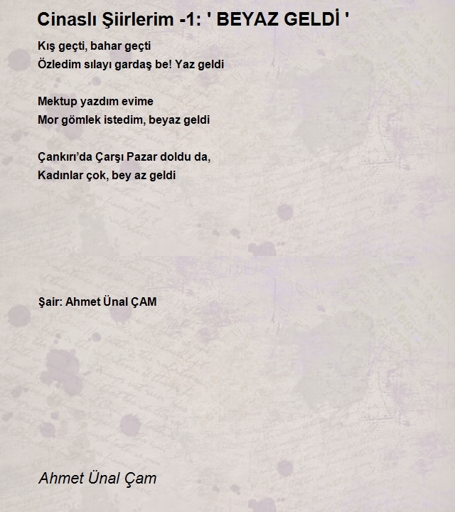 Ahmet Ünal Çam