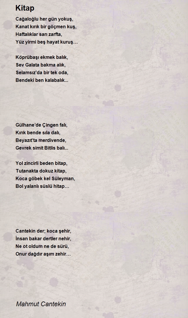 Mahmut Cantekin