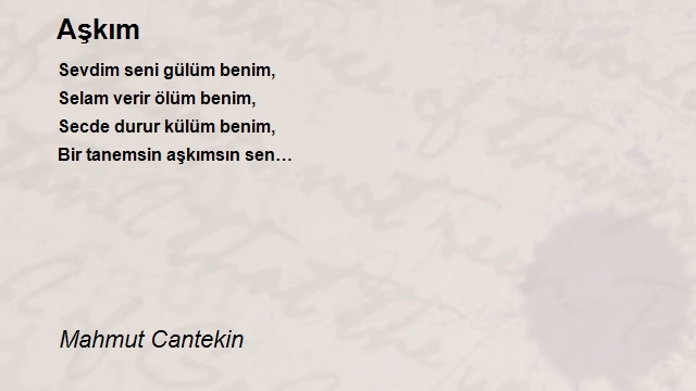 Mahmut Cantekin