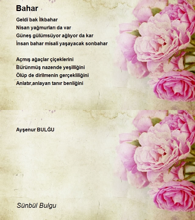 Sünbül Bulgu