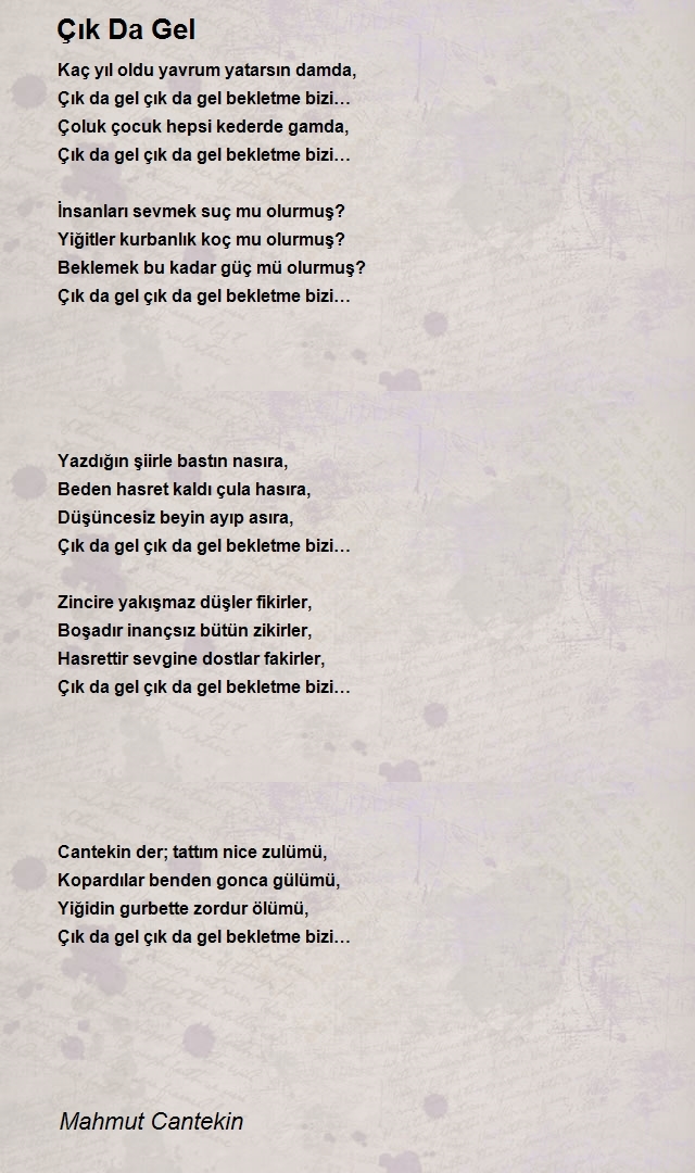 Mahmut Cantekin