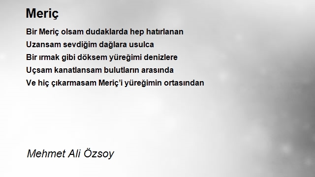 Mehmet Ali Özsoy