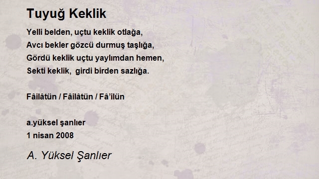 A. Yüksel Şanlıer