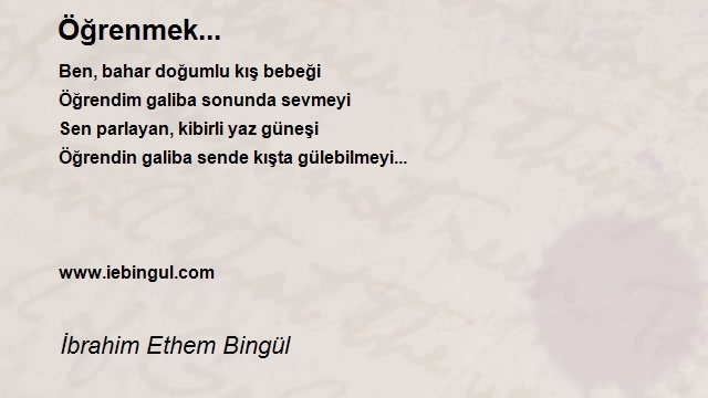 İbrahim Ethem Bingül