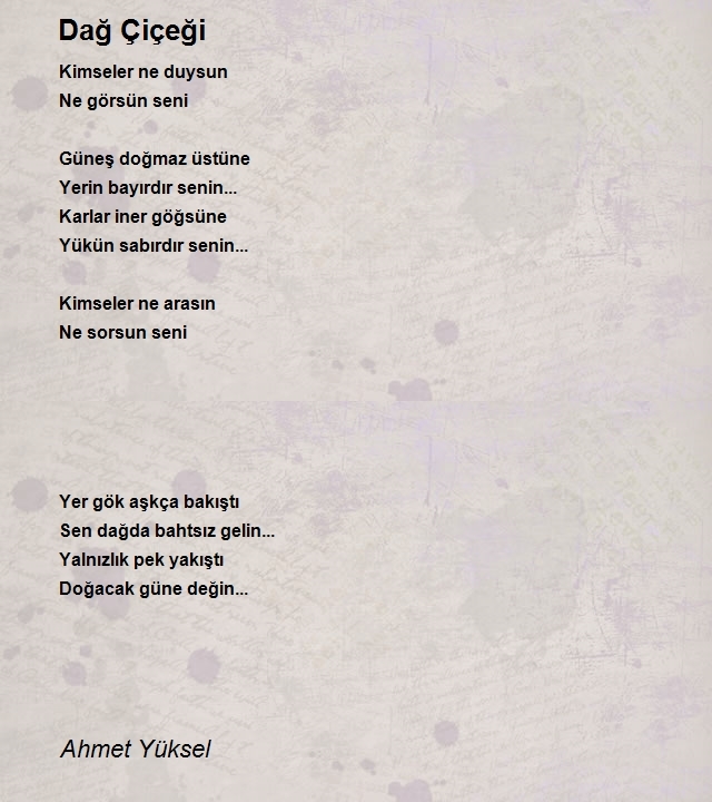 Ahmet Yüksel