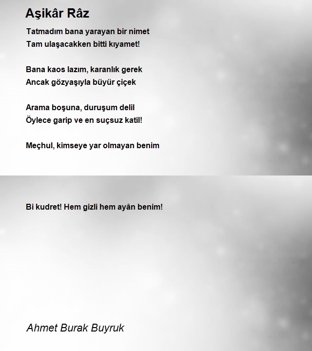 Ahmet Burak Buyruk