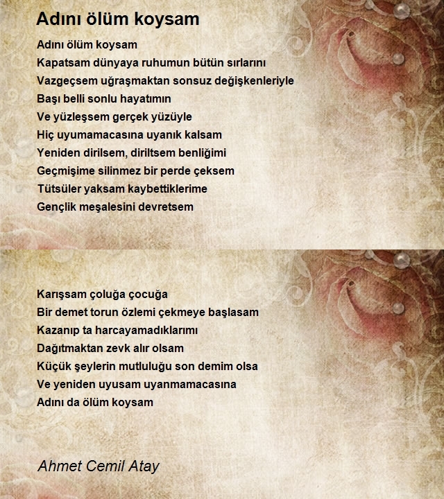 Ahmet Cemil Atay