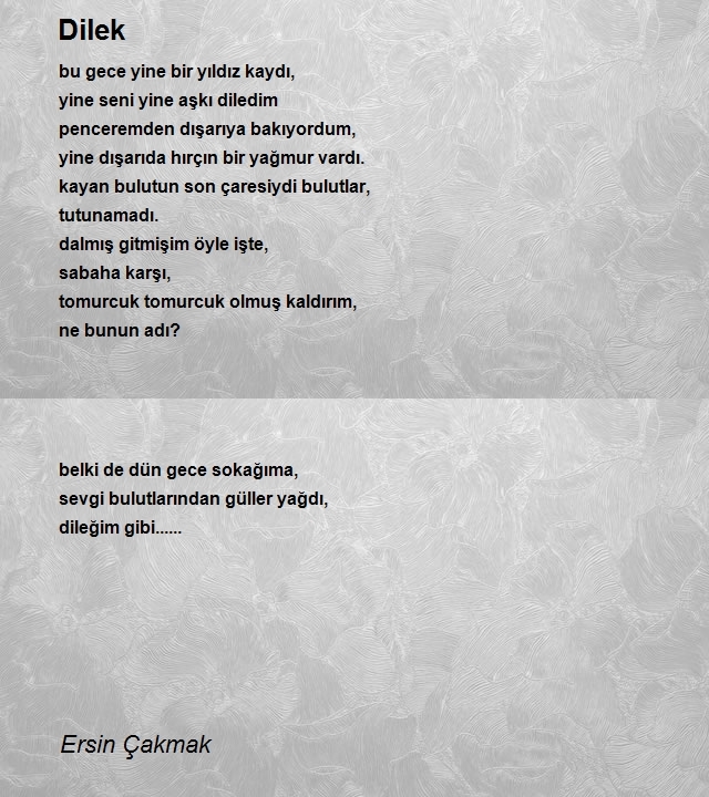 Ersin Çakmak