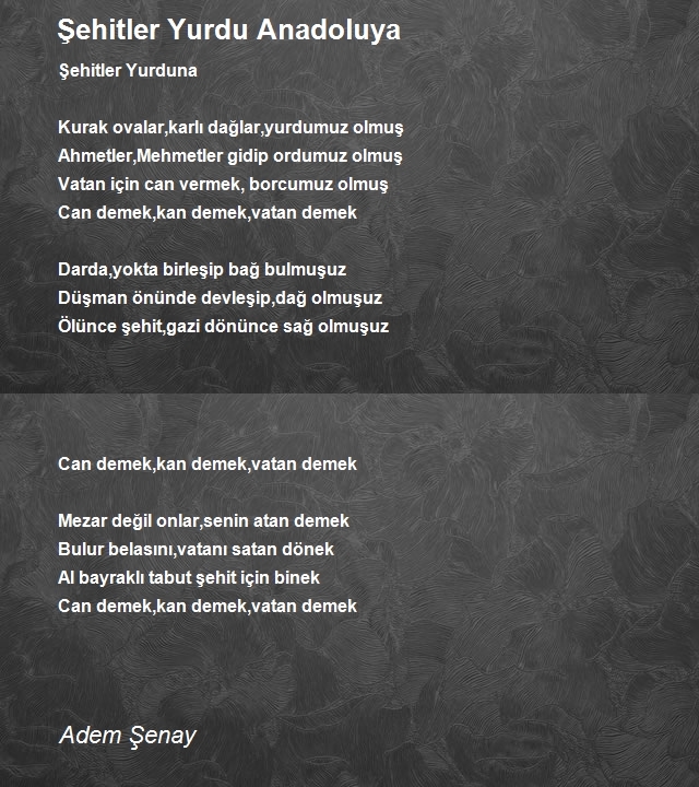 Adem Şenay