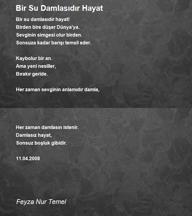 Feyza Nur Temel