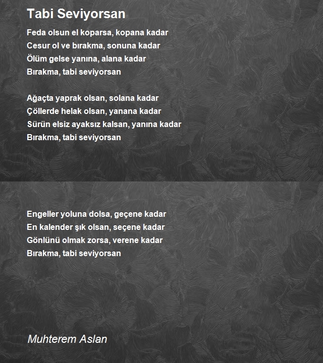 Muhterem Aslan