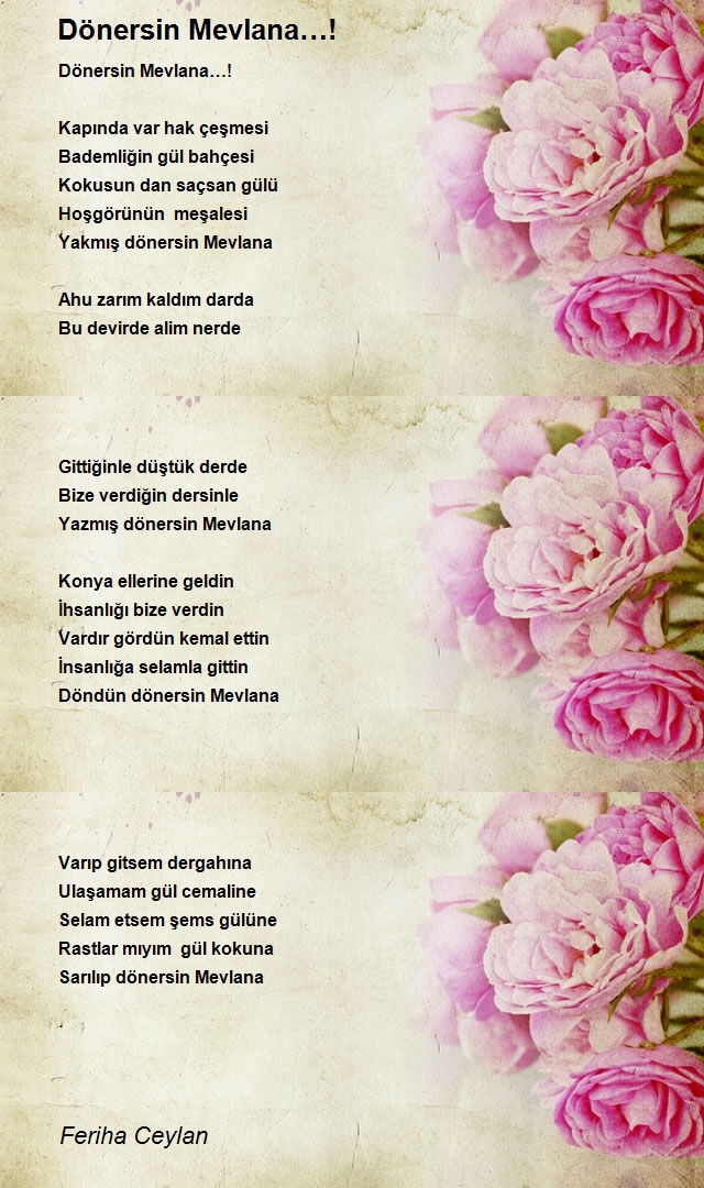 Feriha Ceylan