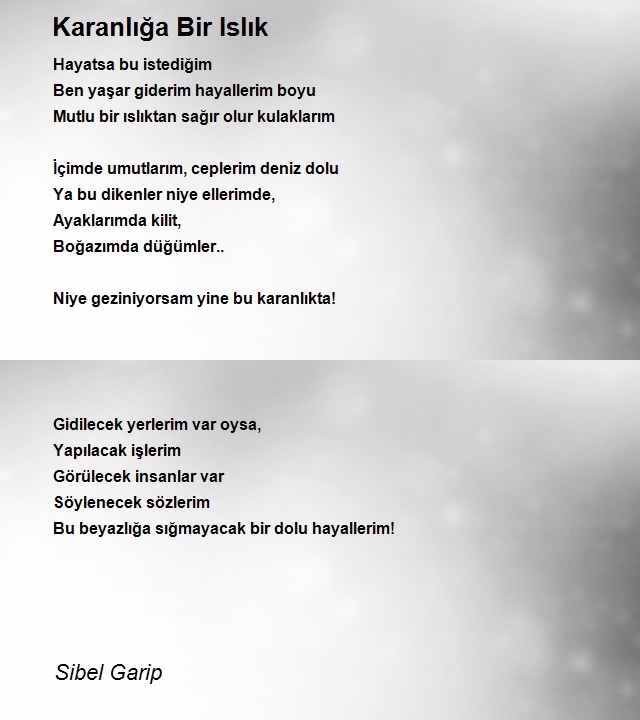 Sibel Garip