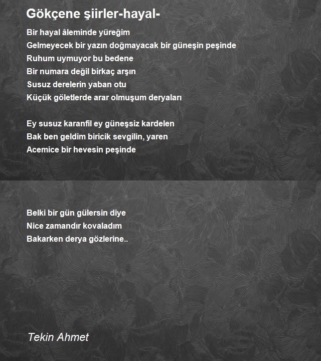 Tekin Ahmet