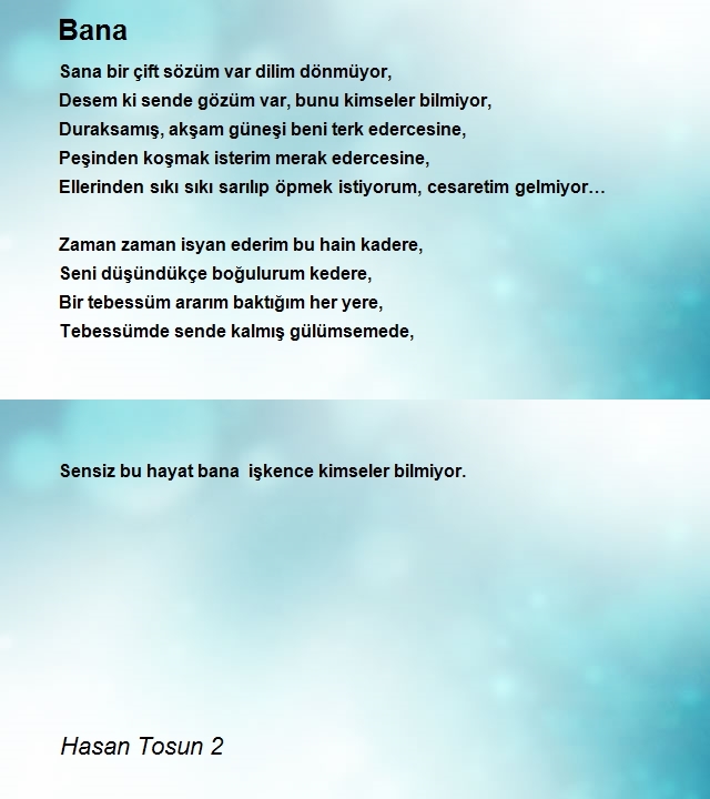 Hasan Tosun 2