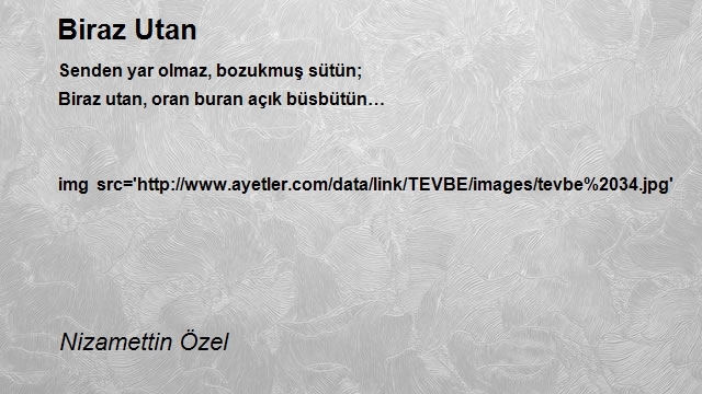 Nizamettin Özel