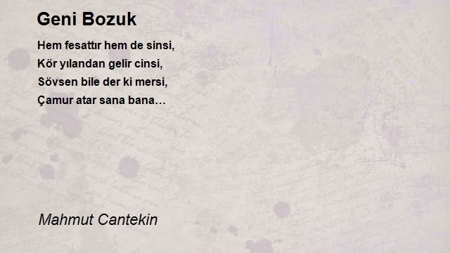 Mahmut Cantekin