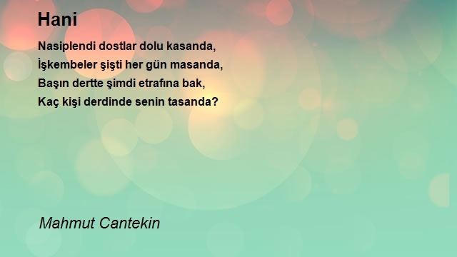 Mahmut Cantekin