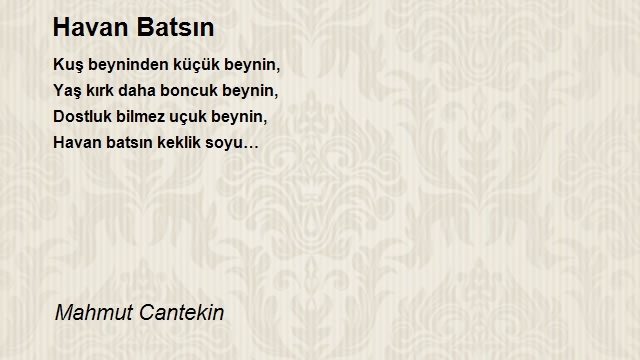 Mahmut Cantekin